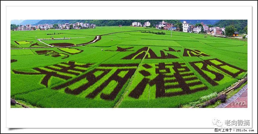 【春天，广西桂林灌阳县向您发出邀请！】开篇 - 游山玩水 - 日喀则生活社区 - 日喀则28生活网 rkz.28life.com