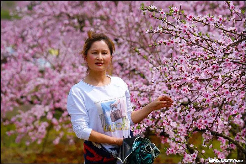 【春天，广西桂林灌阳县向您发出邀请！】官庄村有个醉美的桃花园 - 游山玩水 - 日喀则生活社区 - 日喀则28生活网 rkz.28life.com
