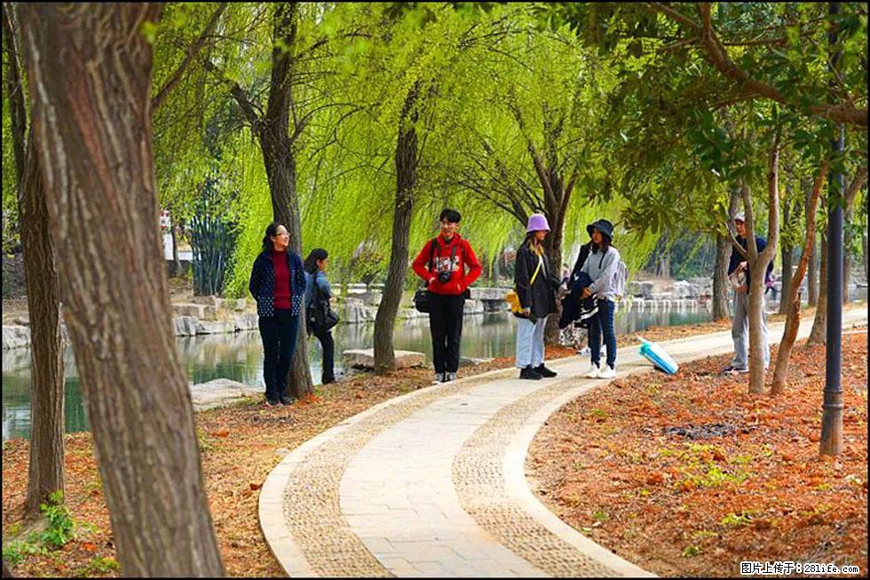 【春天，广西桂林灌阳县向您发出邀请！】江口老街又逢春 - 游山玩水 - 日喀则生活社区 - 日喀则28生活网 rkz.28life.com