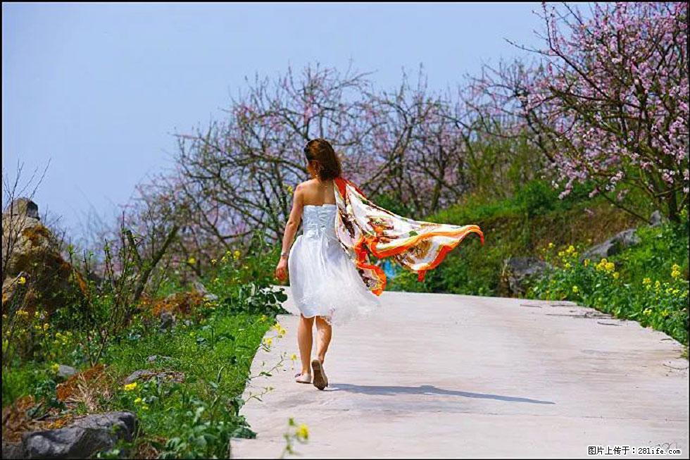 【春天，广西桂林灌阳县向您发出邀请！】望月岭上桃花开 - 游山玩水 - 日喀则生活社区 - 日喀则28生活网 rkz.28life.com