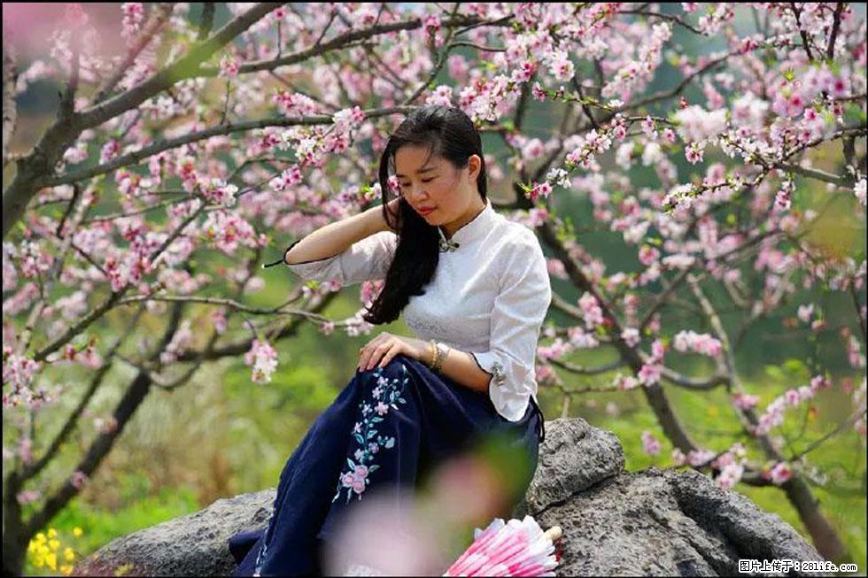 【春天，广西桂林灌阳县向您发出邀请！】望月岭上桃花开 - 游山玩水 - 日喀则生活社区 - 日喀则28生活网 rkz.28life.com