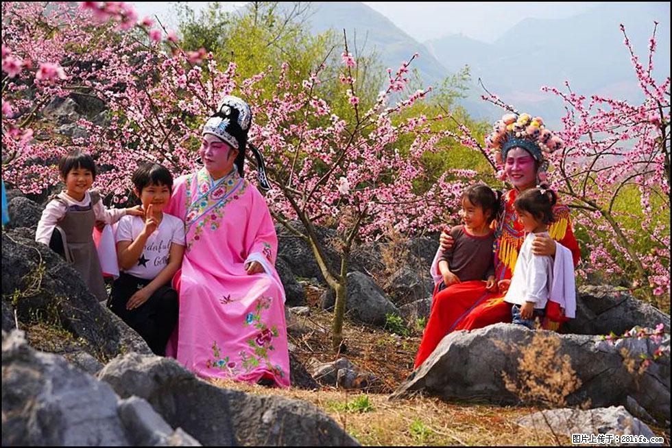 【春天，广西桂林灌阳县向您发出邀请！】望月岭上桃花开 - 游山玩水 - 日喀则生活社区 - 日喀则28生活网 rkz.28life.com