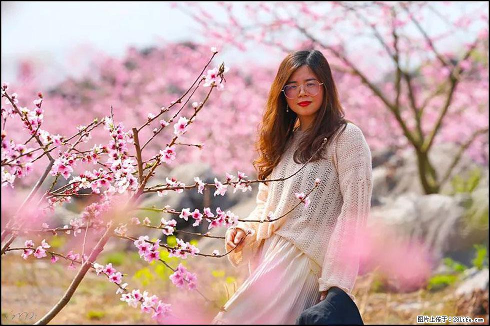 【春天，广西桂林灌阳县向您发出邀请！】望月岭上桃花开 - 游山玩水 - 日喀则生活社区 - 日喀则28生活网 rkz.28life.com