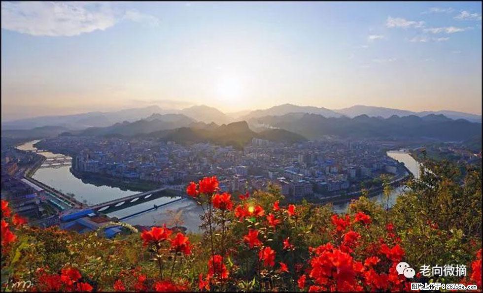 【春天，广西桂林灌阳县向您发出邀请！】登麒麟山，相约映山红 - 游山玩水 - 日喀则生活社区 - 日喀则28生活网 rkz.28life.com