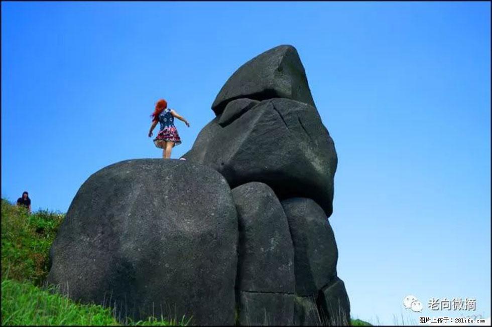 【春天,广西桂林灌阳县向您发出邀请!】宝盖山上映山红 - 游山玩水 - 日喀则生活社区 - 日喀则28生活网 rkz.28life.com