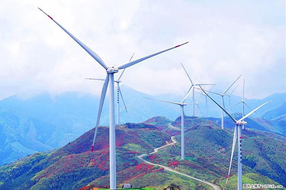 【春天,广西桂林灌阳县向您发出邀请!】春木界上映山红 - 游山玩水 - 日喀则生活社区 - 日喀则28生活网 rkz.28life.com