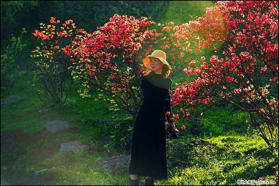 【春天,广西桂林灌阳县向您发出邀请!】春木界上映山红 - 游山玩水 - 日喀则生活社区 - 日喀则28生活网 rkz.28life.com