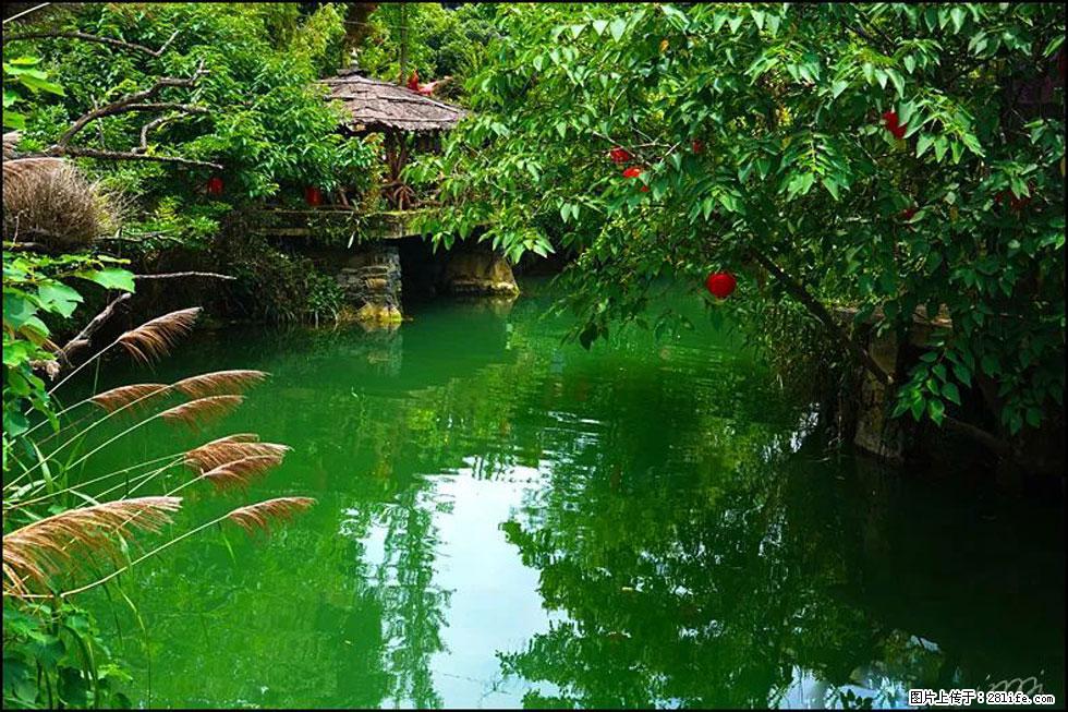 【春天，广西桂林灌阳县向您发出邀请！】如梦似幻莲溪庐 - 游山玩水 - 日喀则生活社区 - 日喀则28生活网 rkz.28life.com