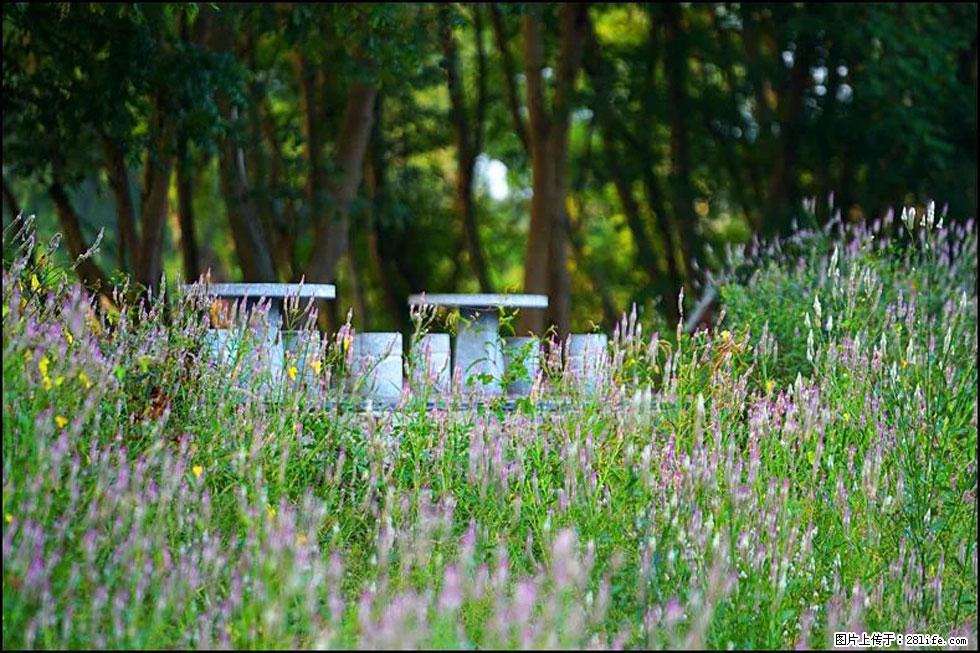 【春天,广西桂林灌阳县向您发出邀请!】熊家寨湿地公园 - 游山玩水 - 日喀则生活社区 - 日喀则28生活网 rkz.28life.com