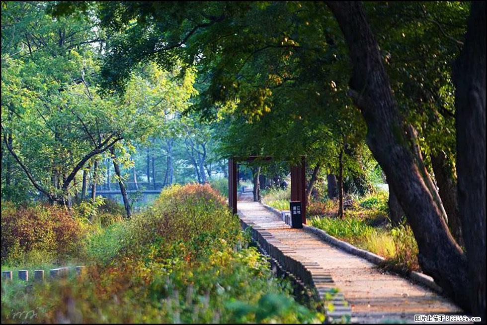 【春天,广西桂林灌阳县向您发出邀请!】熊家寨湿地公园 - 游山玩水 - 日喀则生活社区 - 日喀则28生活网 rkz.28life.com