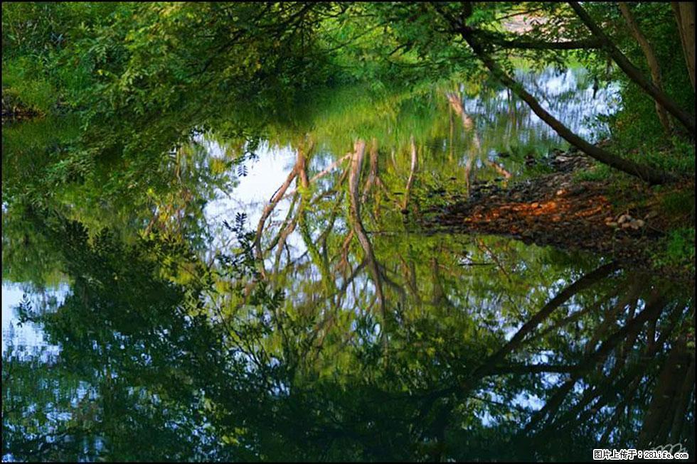 【春天,广西桂林灌阳县向您发出邀请!】熊家寨湿地公园 - 游山玩水 - 日喀则生活社区 - 日喀则28生活网 rkz.28life.com