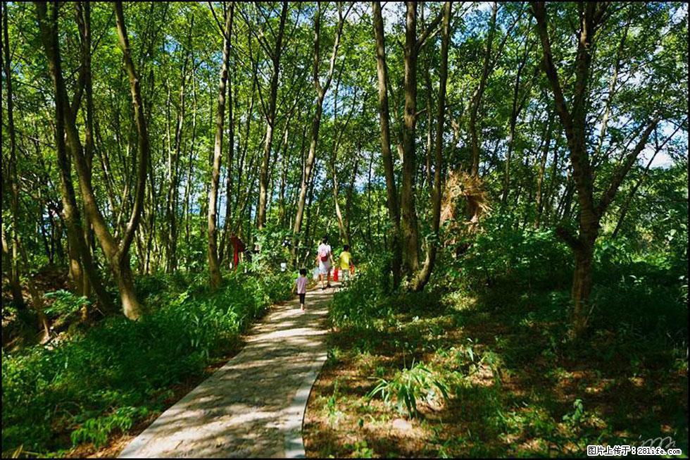 【春天,广西桂林灌阳县向您发出邀请!】熊家寨湿地公园 - 游山玩水 - 日喀则生活社区 - 日喀则28生活网 rkz.28life.com