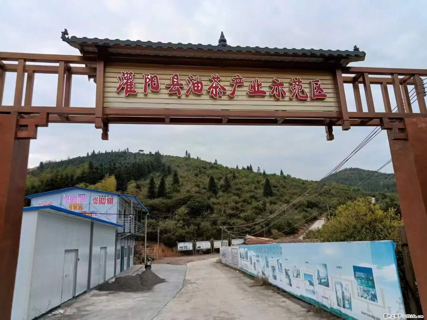 【灌阳县油茶产业示范区】一个有着充实的精神生活的人,对待身外之物自会有一种淡泊的态度 - 美食天地 - 日喀则生活社区 - 日喀则28生活网 rkz.28life.com