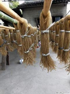 【灌阳正宗红薯粉】美女家里自己做的，干净卫生，假一赔十，价格合理，抢购电话：13737312895 - 日喀则28生活网 rkz.28life.com