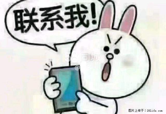 玉海家园 3室1厅1卫 - 房屋出租 - 房屋租售 - 日喀则分类信息 - 日喀则28生活网 rkz.28life.com