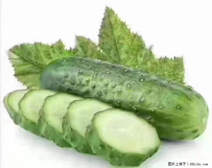 【生活小常识】吃黄瓜的好处 - 生活百科 - 日喀则生活社区 - 日喀则28生活网 rkz.28life.com