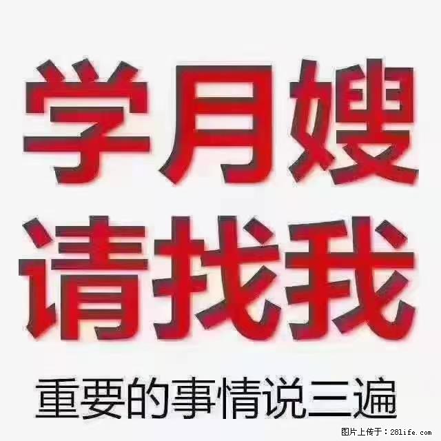 【招聘】月嫂,上海徐汇区 - 职场交流 - 日喀则生活社区 - 日喀则28生活网 rkz.28life.com