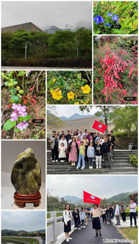 “粤灌文化 美好生活”油茶文化主题活动在广东深圳成功举办 - 日喀则生活资讯 - 日喀则28生活网 rkz.28life.com