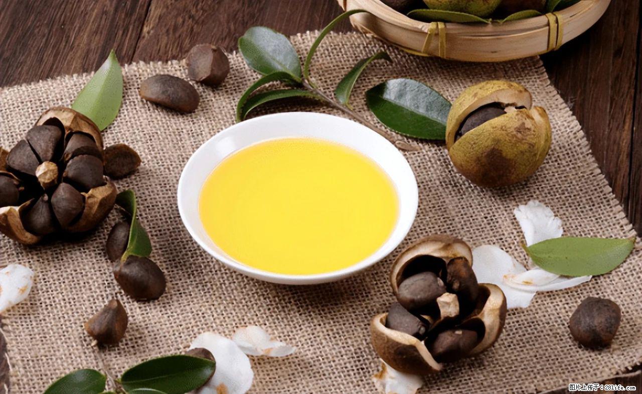 揭秘茶油的5大核心营养成分！被称为人体健康的“守护盾”！ - 日喀则生活资讯 - 日喀则28生活网 rkz.28life.com