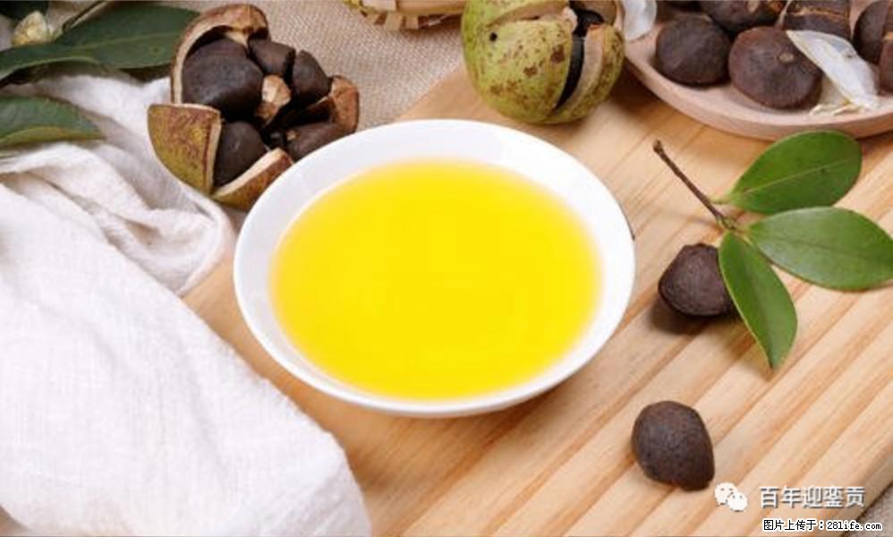 揭秘茶油的5大核心营养成分！被称为人体健康的“守护盾”！ - 日喀则生活资讯 - 日喀则28生活网 rkz.28life.com
