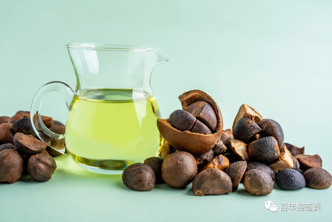 世界没有真相,只有认知,最好的食用油是中国的山茶油! - 日喀则生活资讯 - 日喀则28生活网 rkz.28life.com