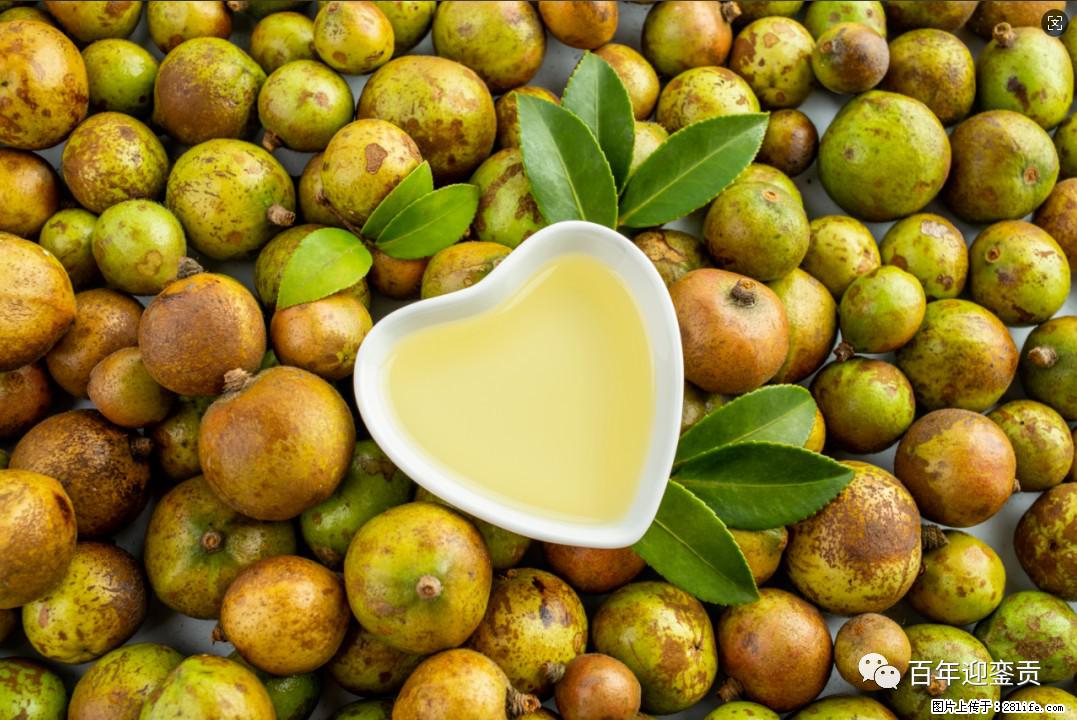 世界没有真相,只有认知,最好的食用油是中国的山茶油! - 日喀则生活资讯 - 日喀则28生活网 rkz.28life.com