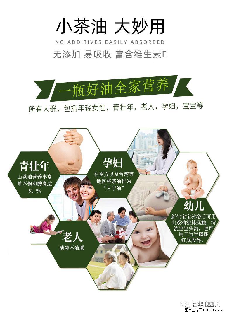 世界没有真相,只有认知,最好的食用油是中国的山茶油! - 日喀则生活资讯 - 日喀则28生活网 rkz.28life.com