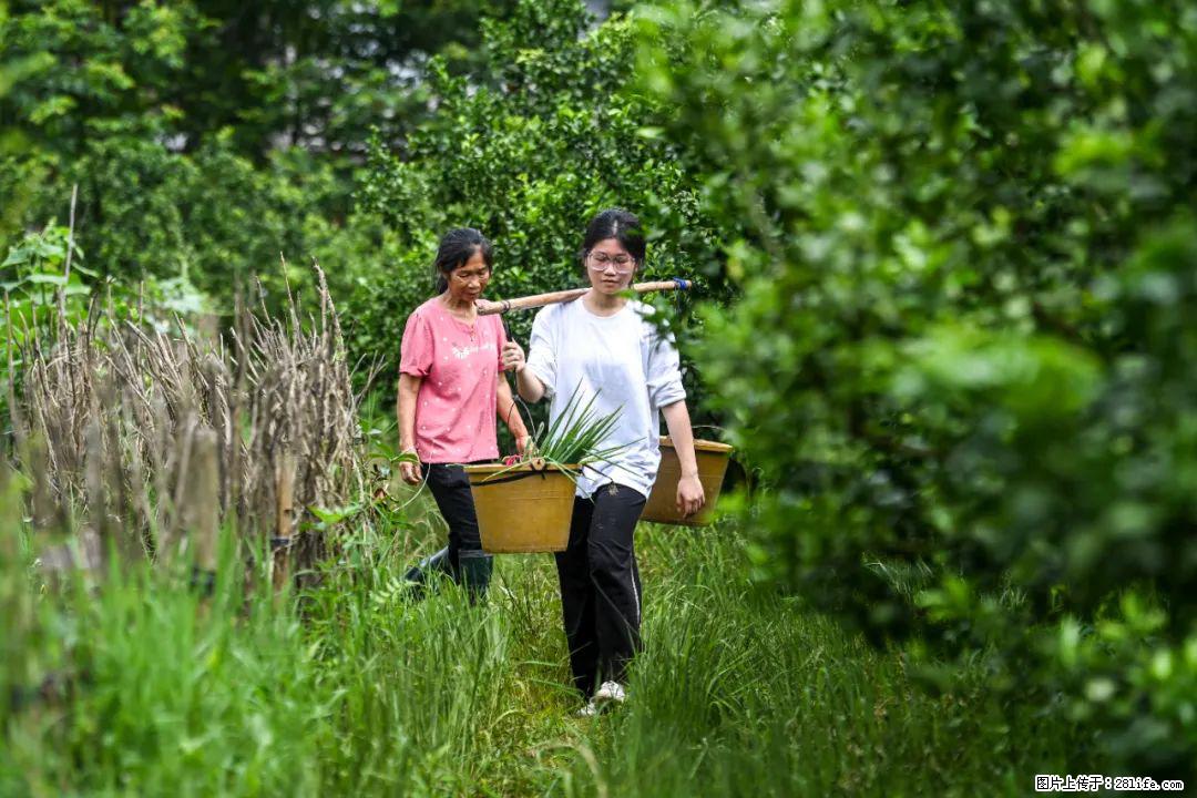 全网追的“扁担女孩”，找了一份暑假工，时薪12元 - 日喀则生活资讯 - 日喀则28生活网 rkz.28life.com
