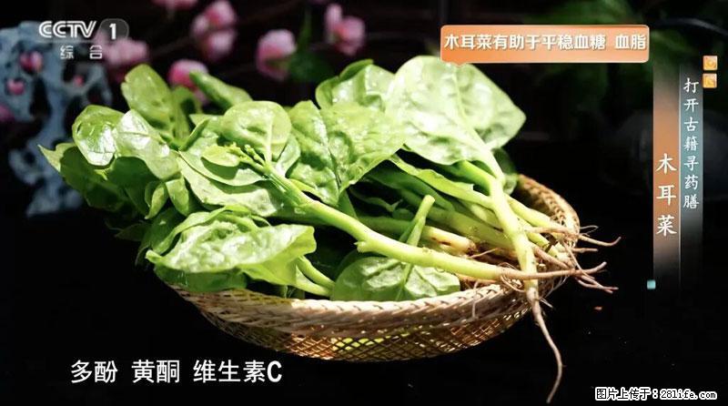 比牛奶补钙还厉害！凉血解毒、稳血糖...这菜冬天必吃，很多人却当草 - 日喀则生活资讯 - 日喀则28生活网 rkz.28life.com